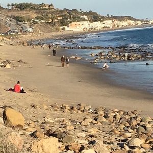 Meet your Posher, Rosie